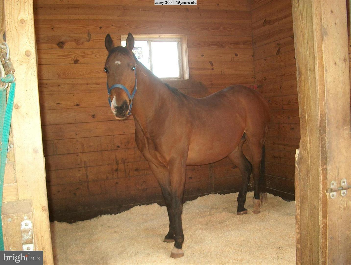 BUCKHALL - Residential