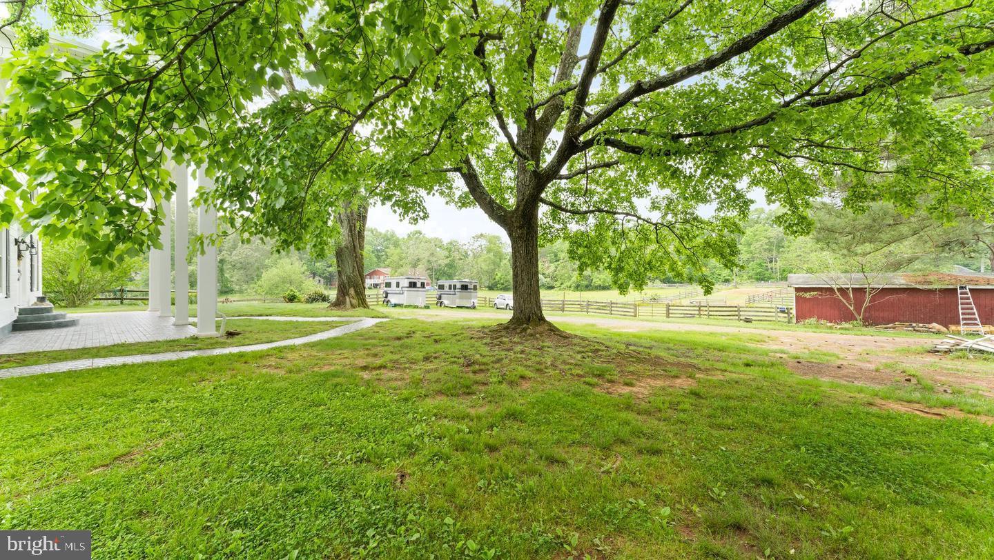 BUCKHALL - Residential