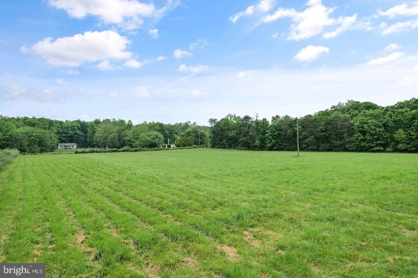 BUCKHALL - Residential