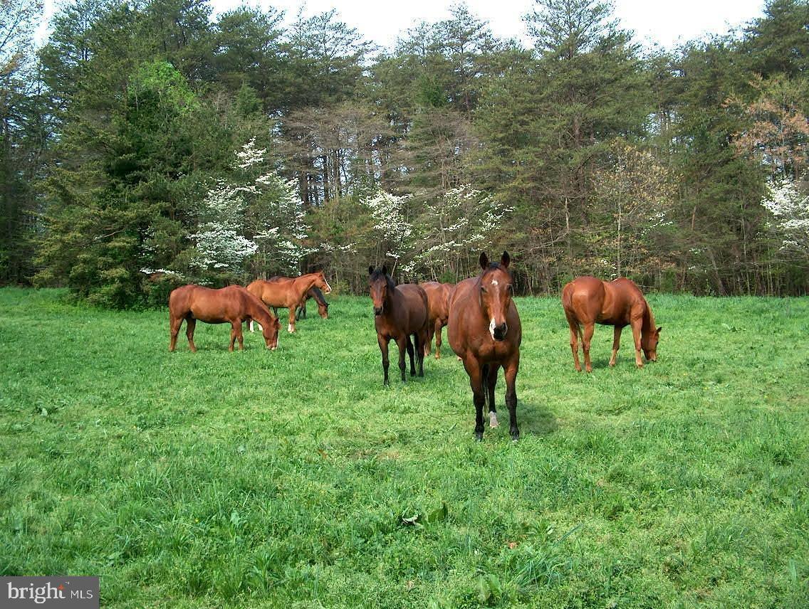 BUCKHALL - Residential