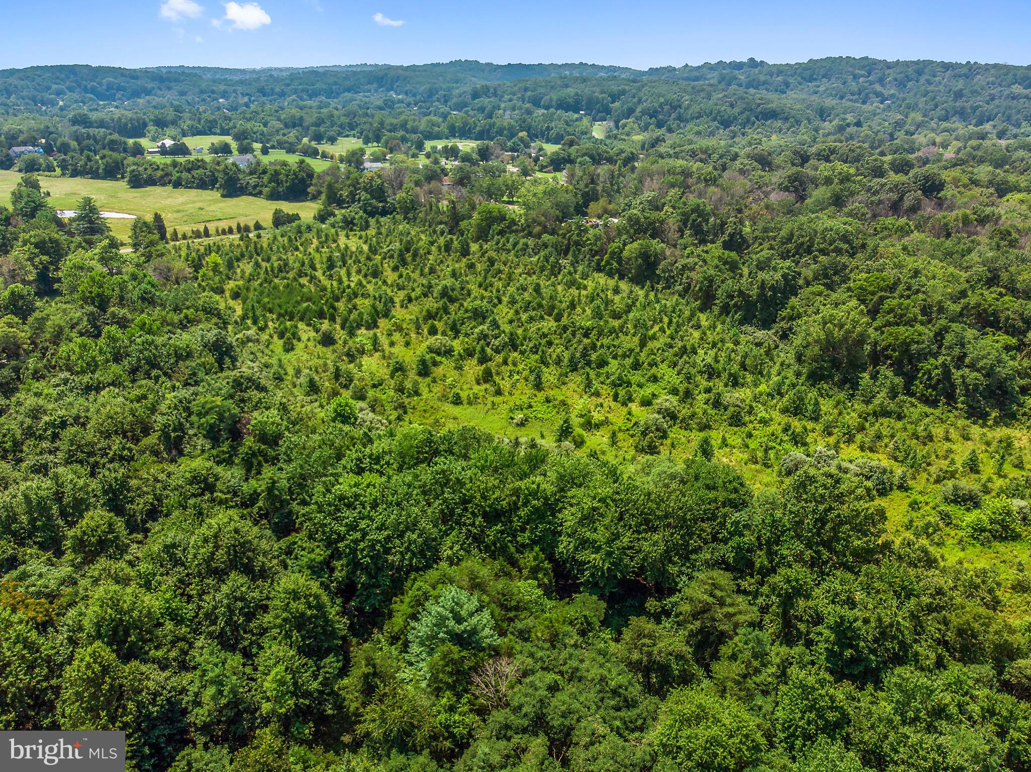 NEW BALTIMORE KNOLLS - Land