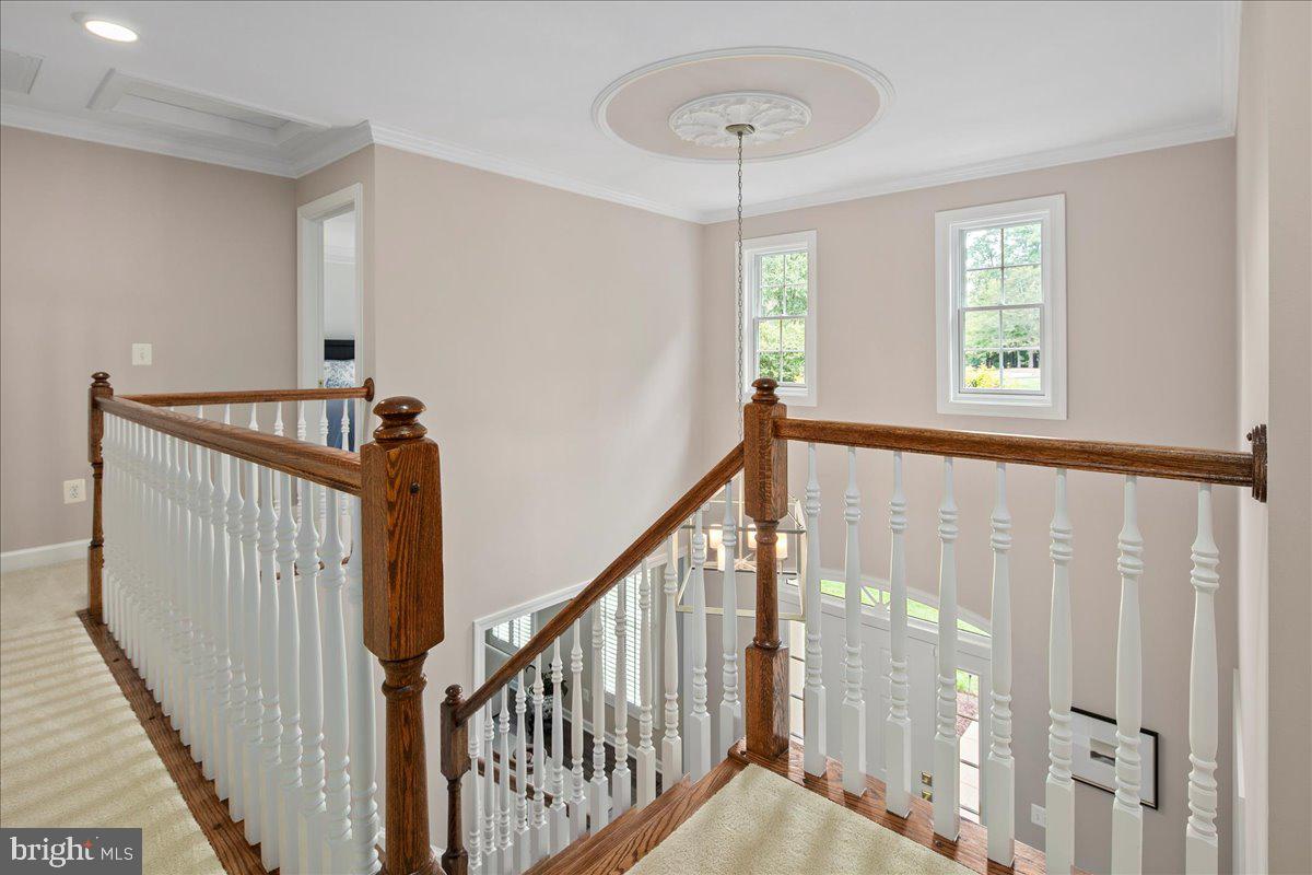 BALMORAL GREENS - Residential