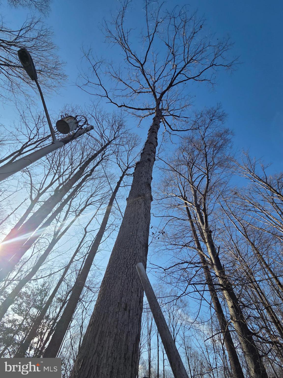 WALTON - Residential