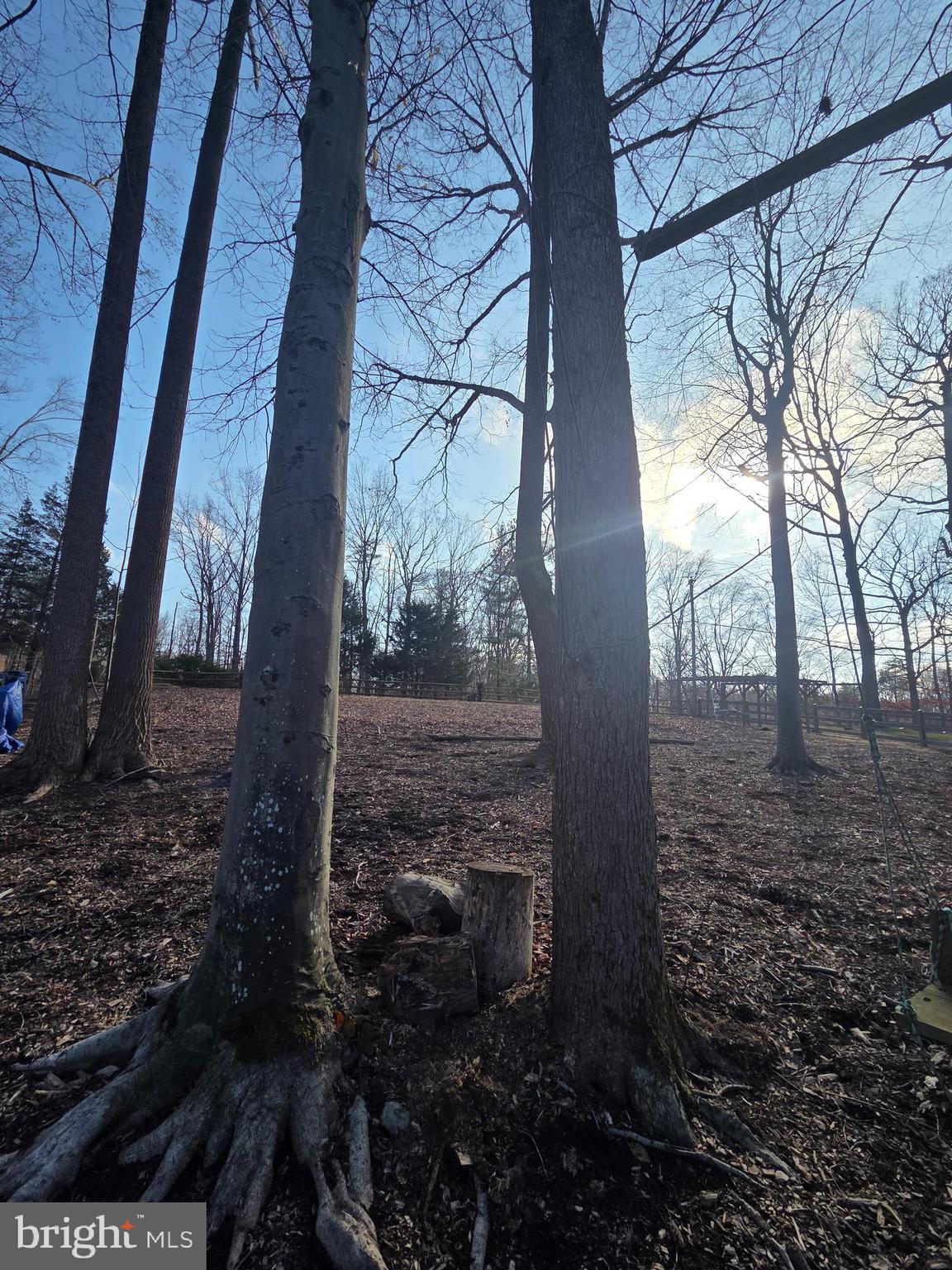 WALTON - Residential