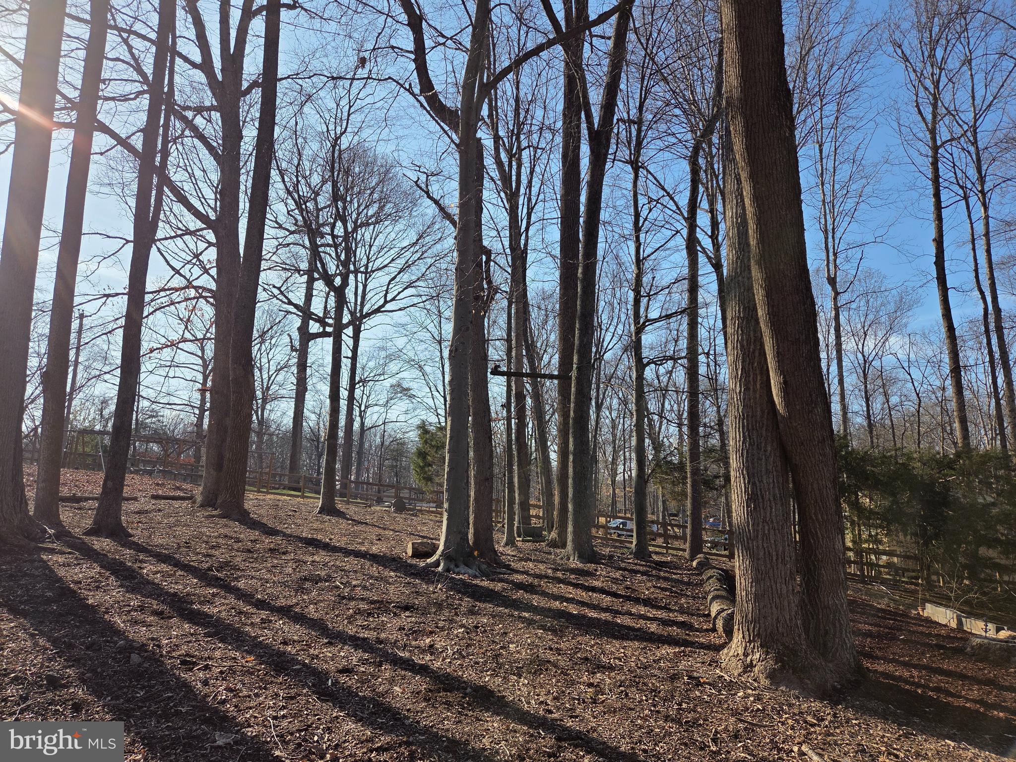 WALTON - Residential