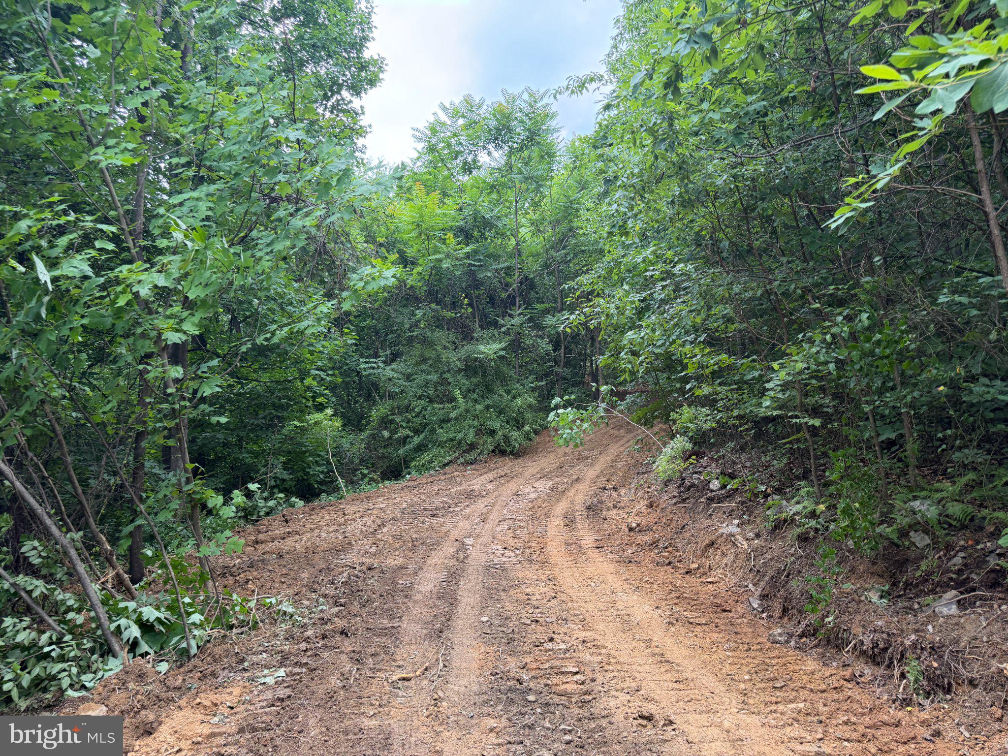 TRACT 2: 30.99+/- ACRES AT 872 FISCHER RD