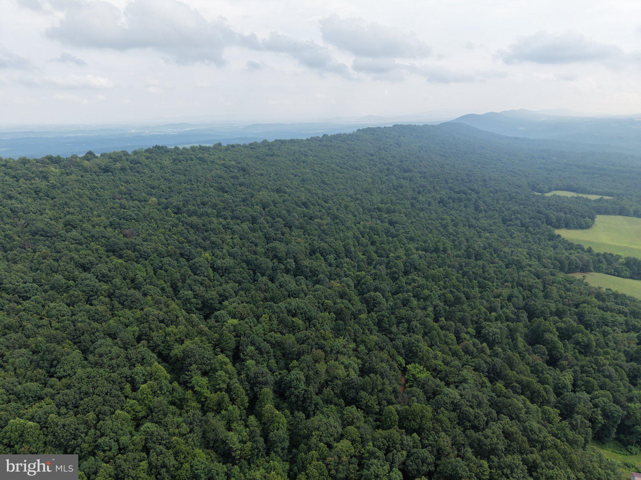 TRACT 2: 30.99+/- ACRES AT 872 FISCHER RD
