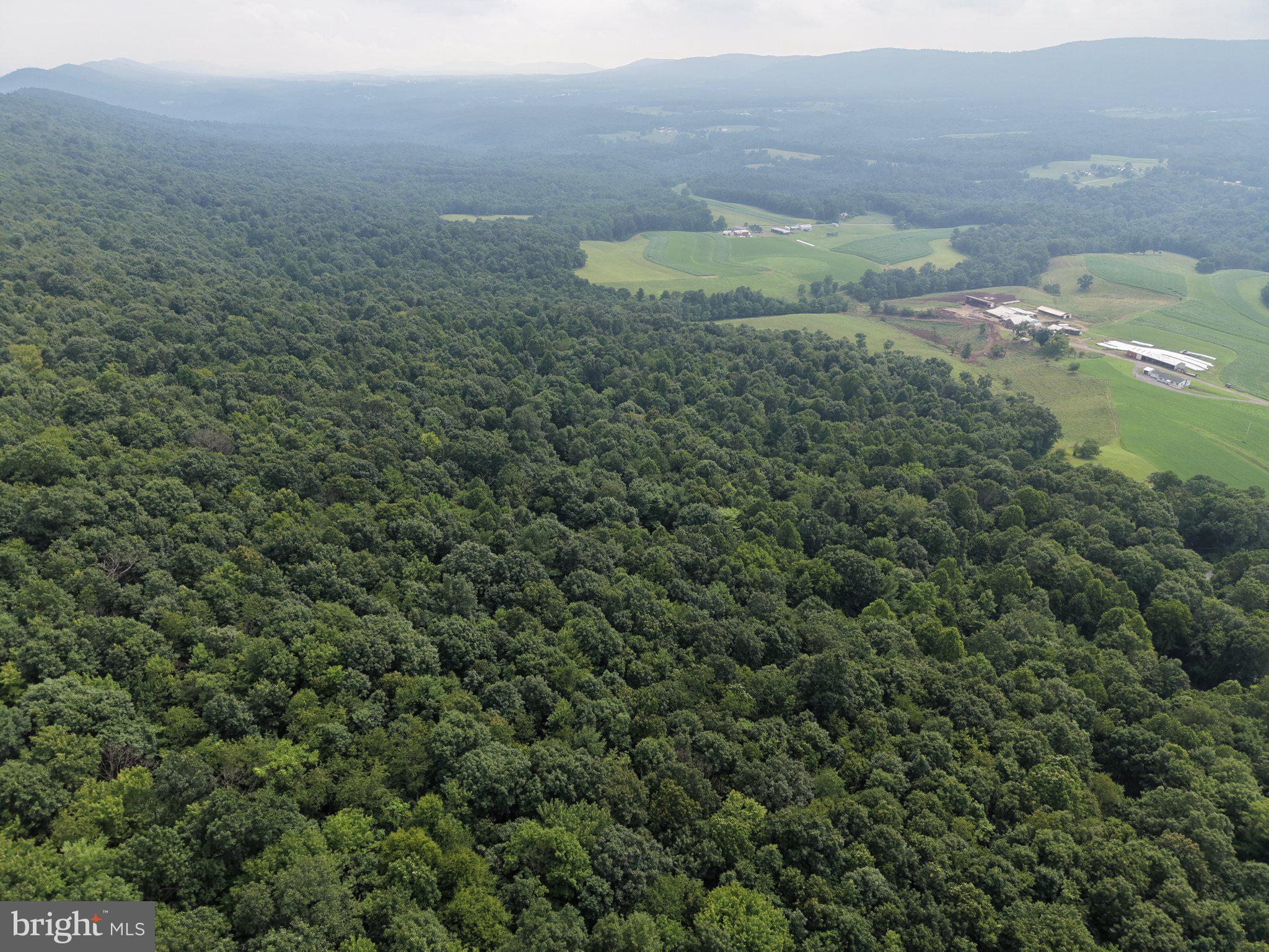 TRACT 2: 30.99+/- ACRES AT 872 FISCHER RD
