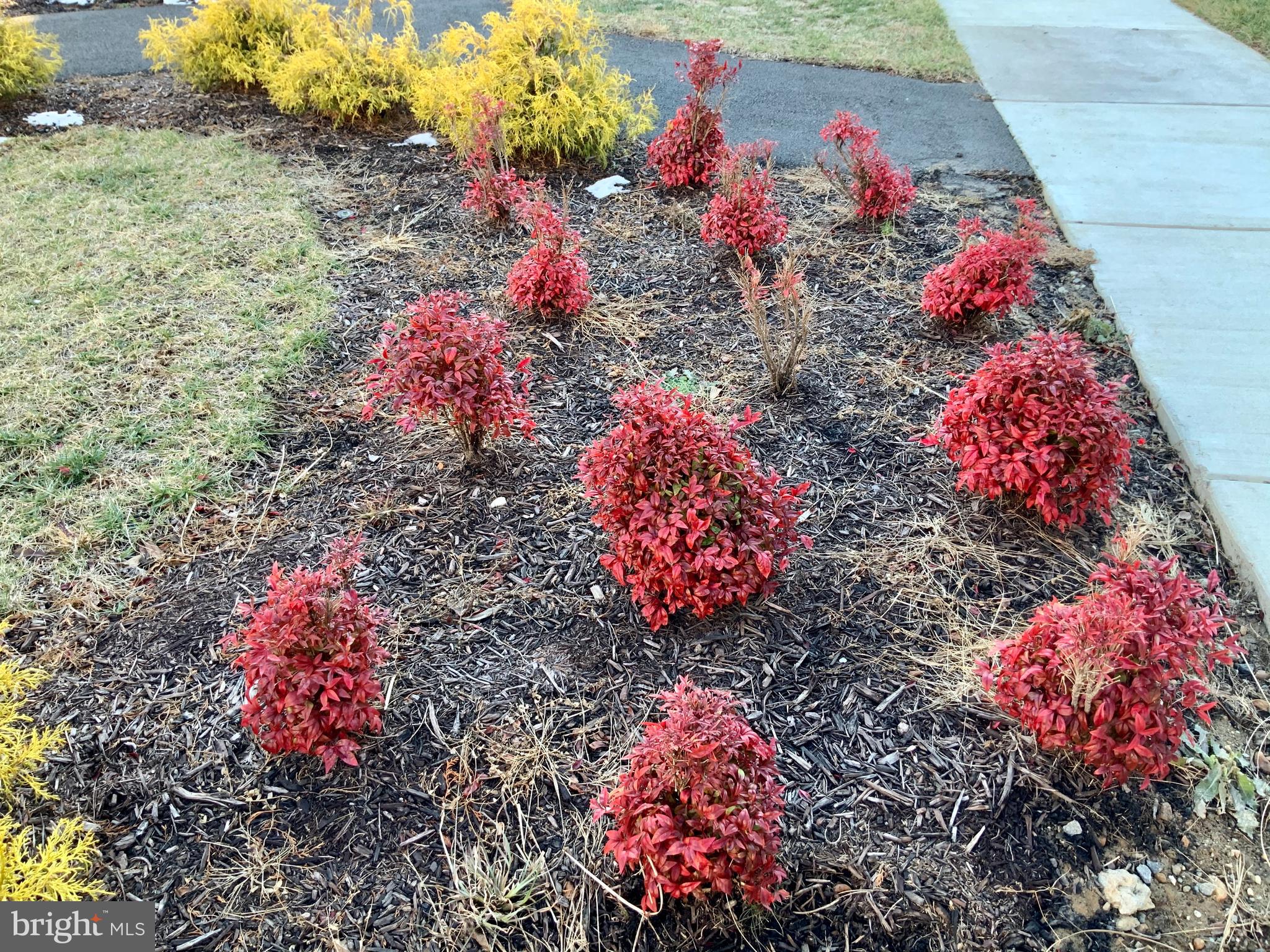 LANDING AT CENTRAL PARK - Residential Lease