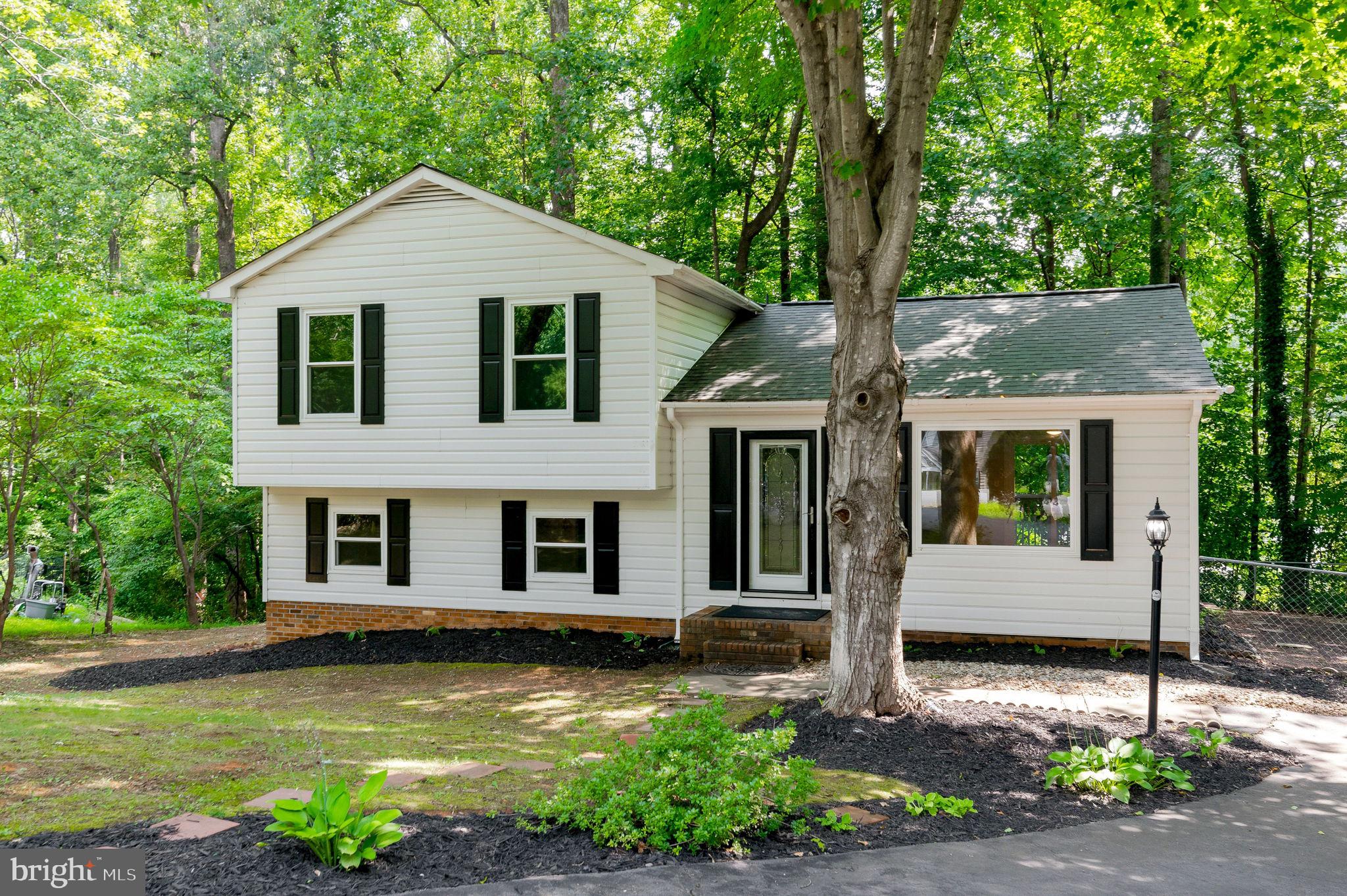 10001 KNOTTY PINE COURT