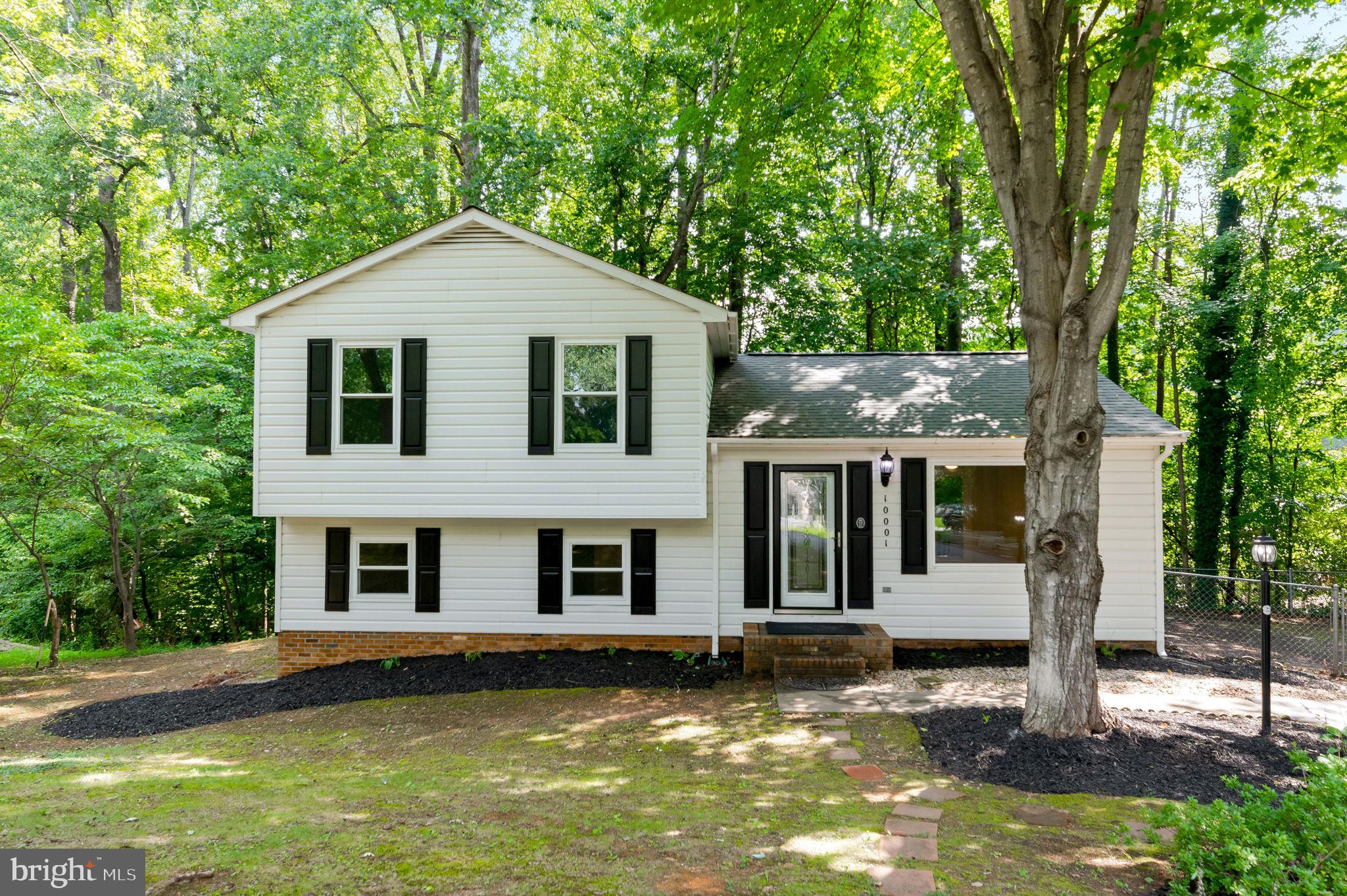 10001 KNOTTY PINE COURT