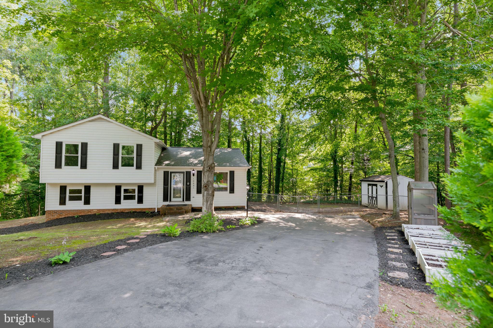 10001 KNOTTY PINE COURT