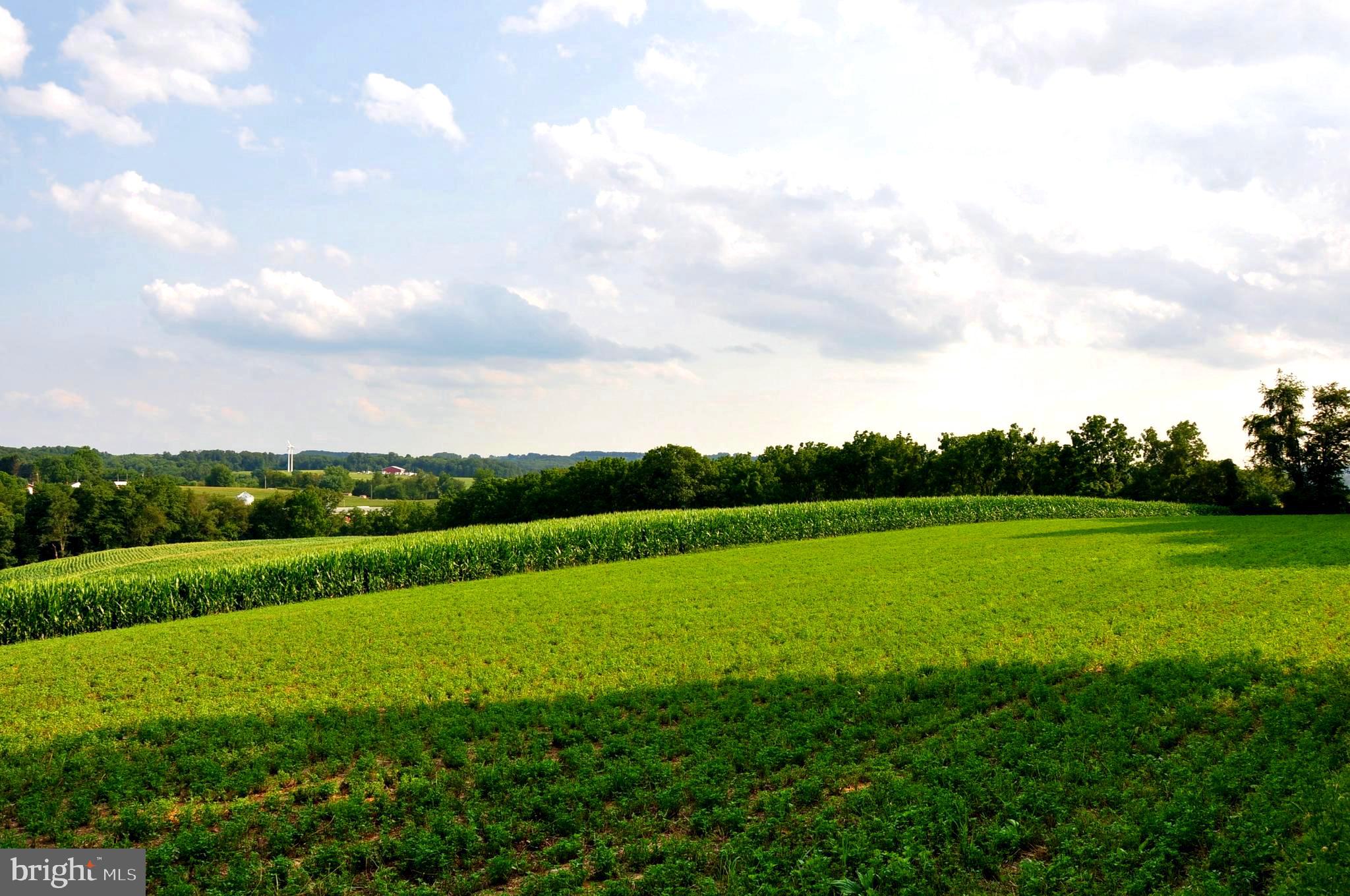 CODORUS - Residential