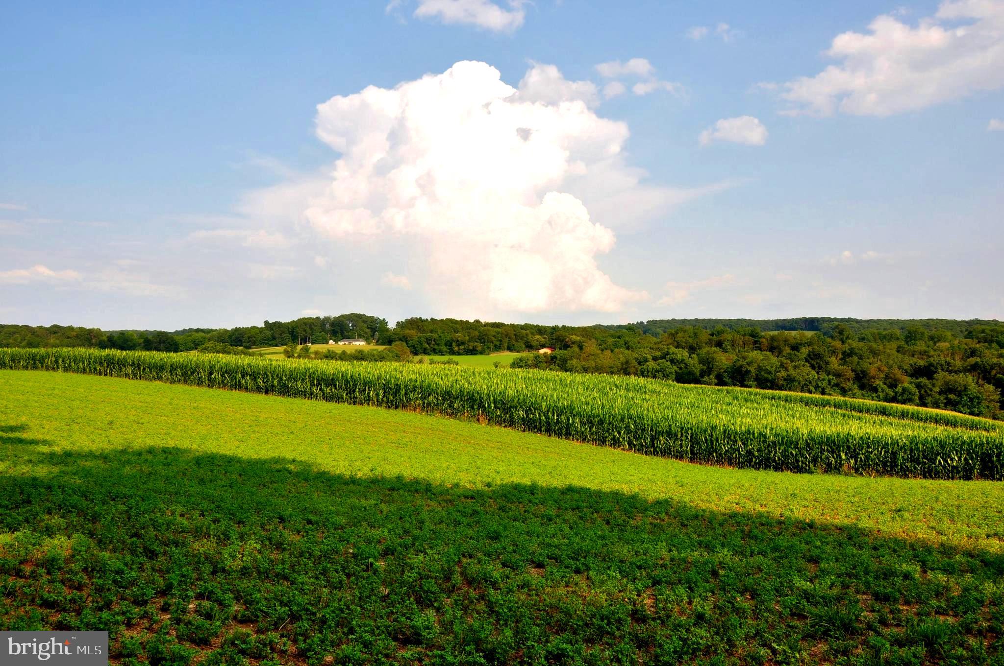 CODORUS - Residential