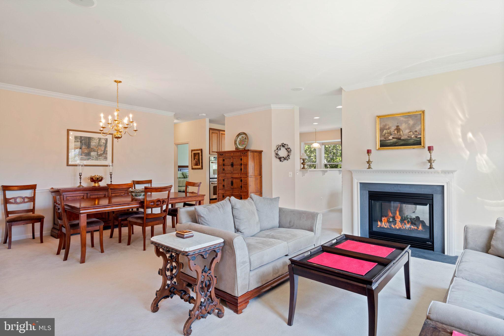 FOUR SEASONS AT HISTORIC VA - Residential