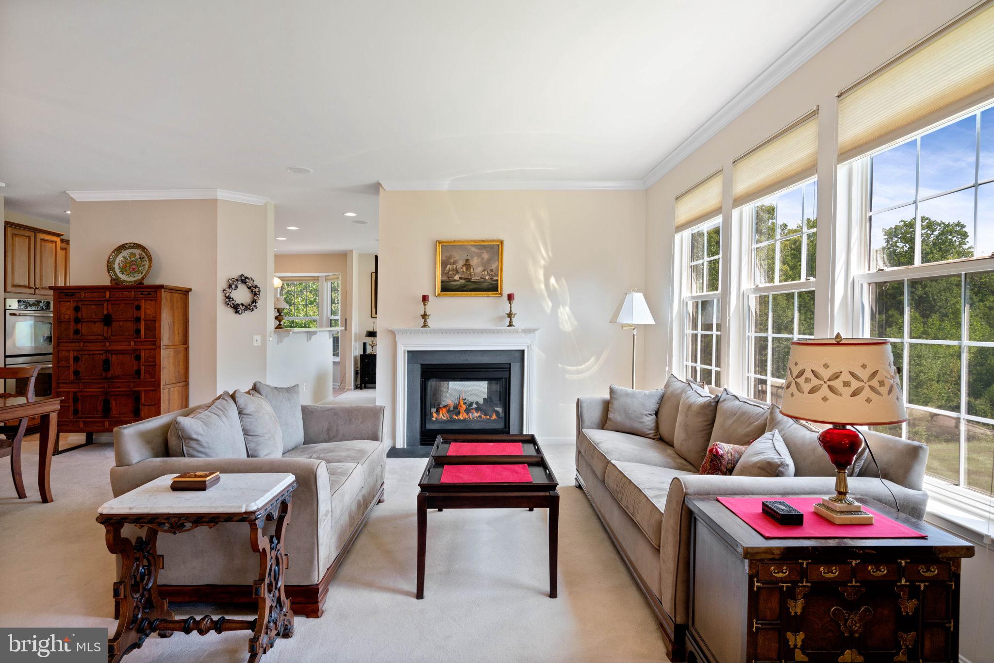 FOUR SEASONS AT HISTORIC VA - Residential