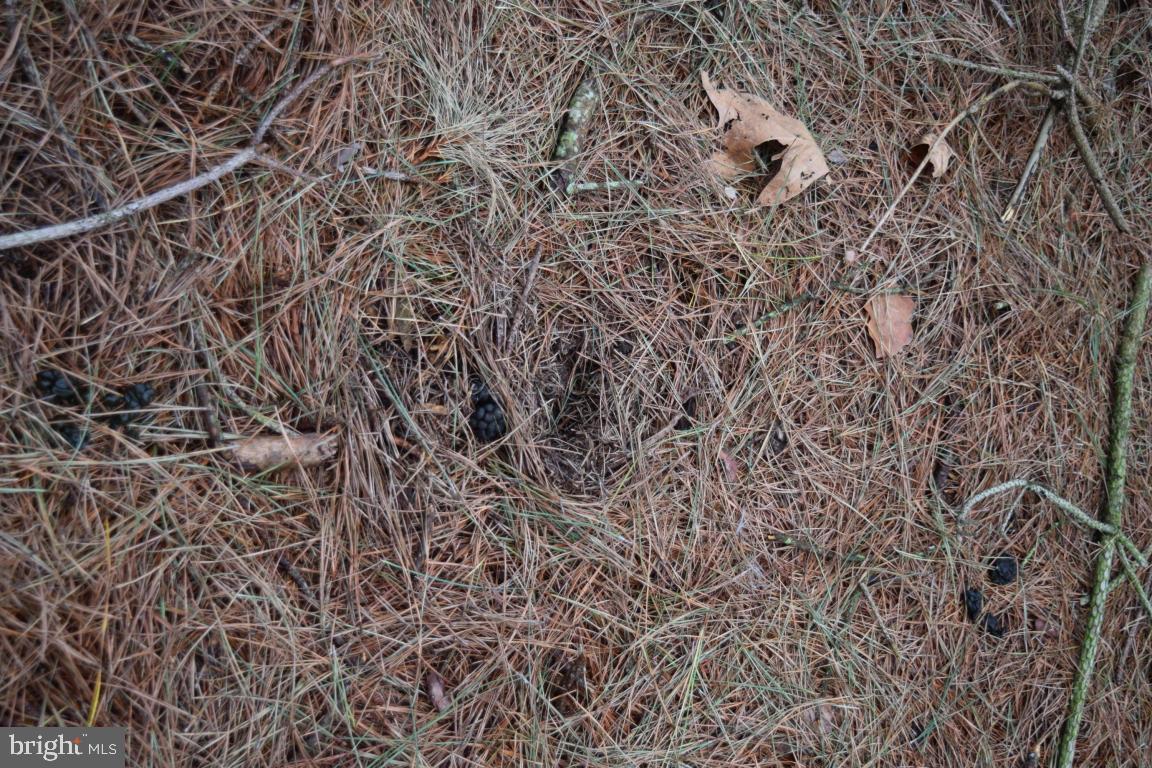 NONE AVAILABLE - Land