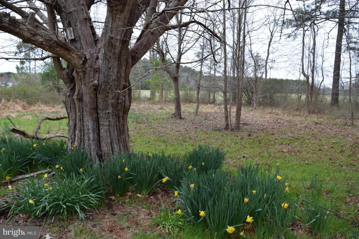 NONE AVAILABLE - Land