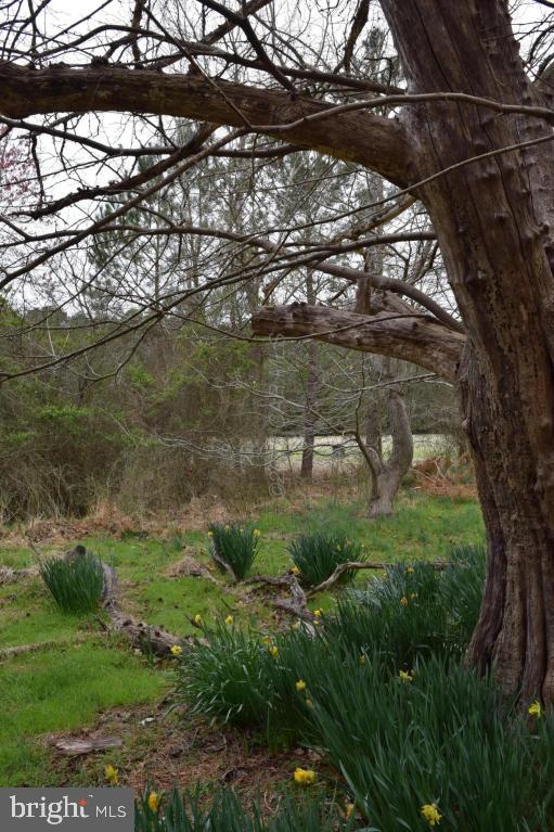 NONE AVAILABLE - Land