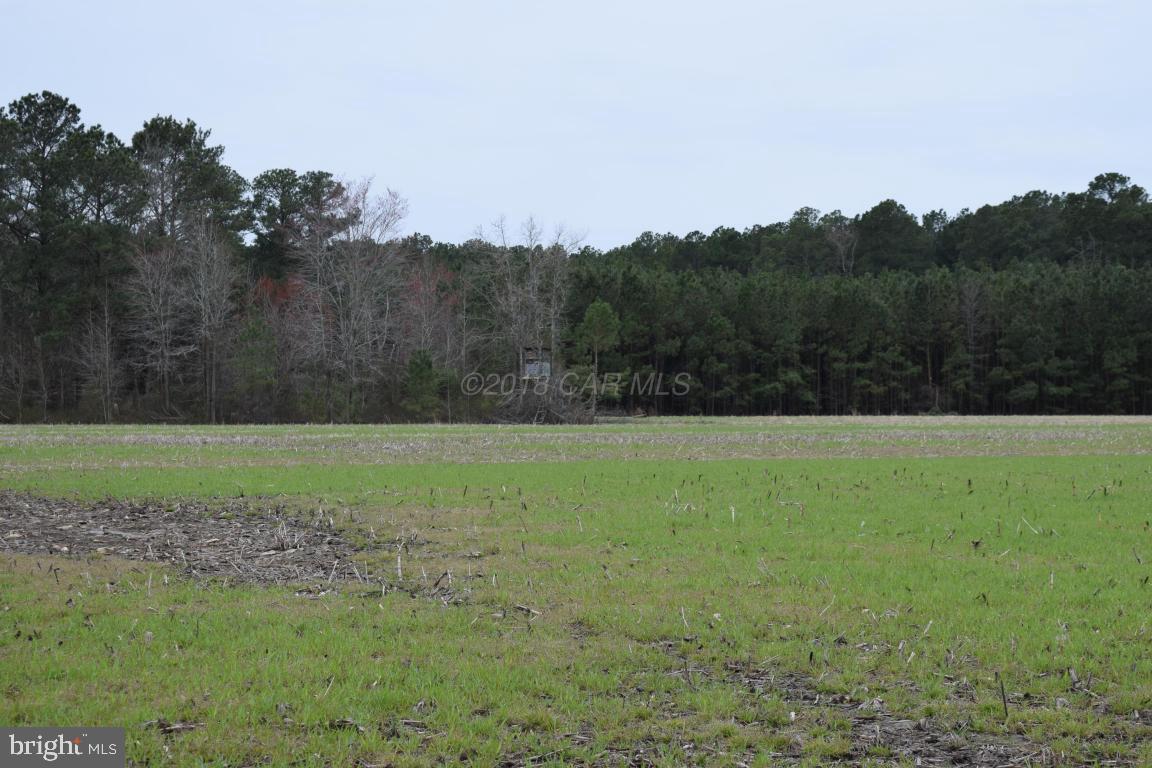 NONE AVAILABLE - Land