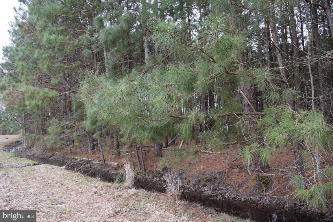 NONE AVAILABLE - Land