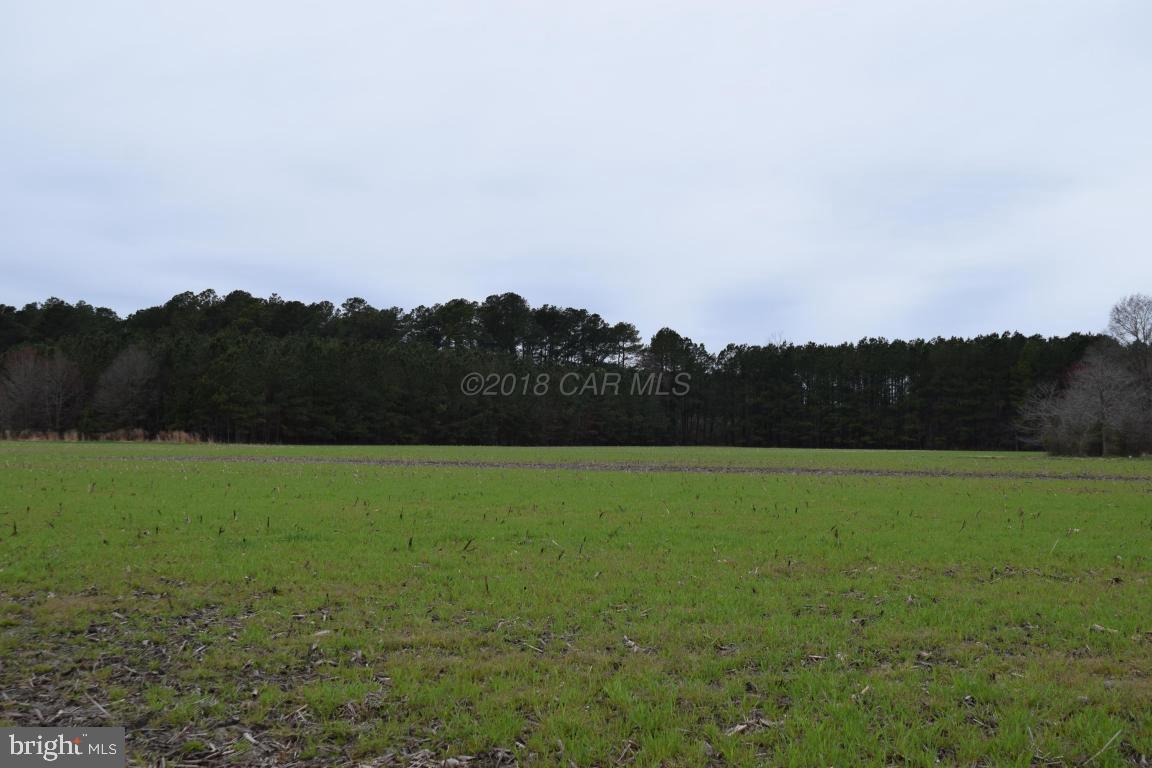 NONE AVAILABLE - Land