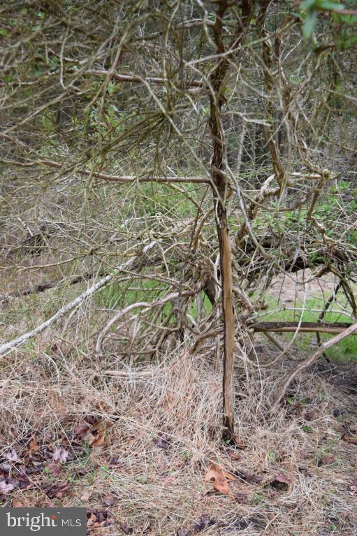 NONE AVAILABLE - Land