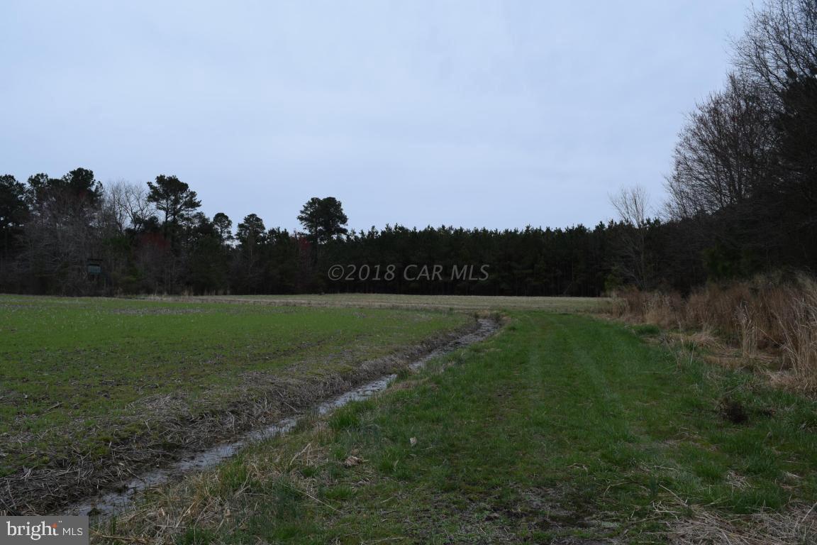 NONE AVAILABLE - Land