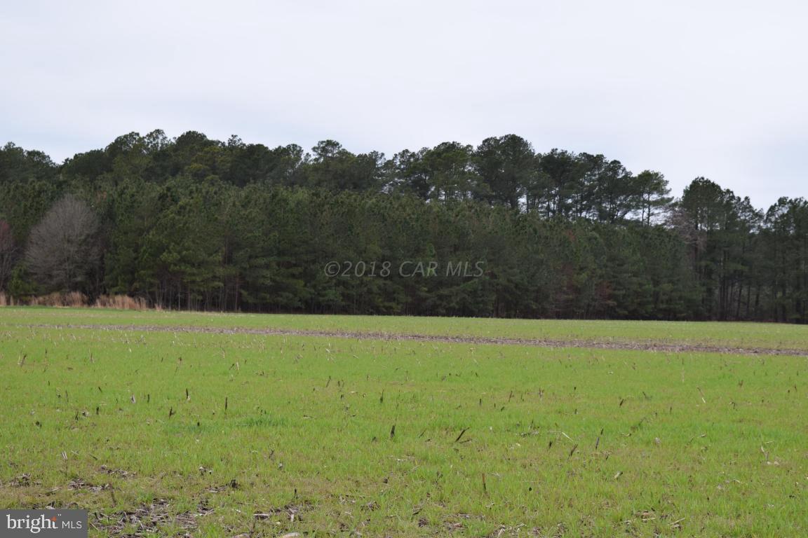 NONE AVAILABLE - Land