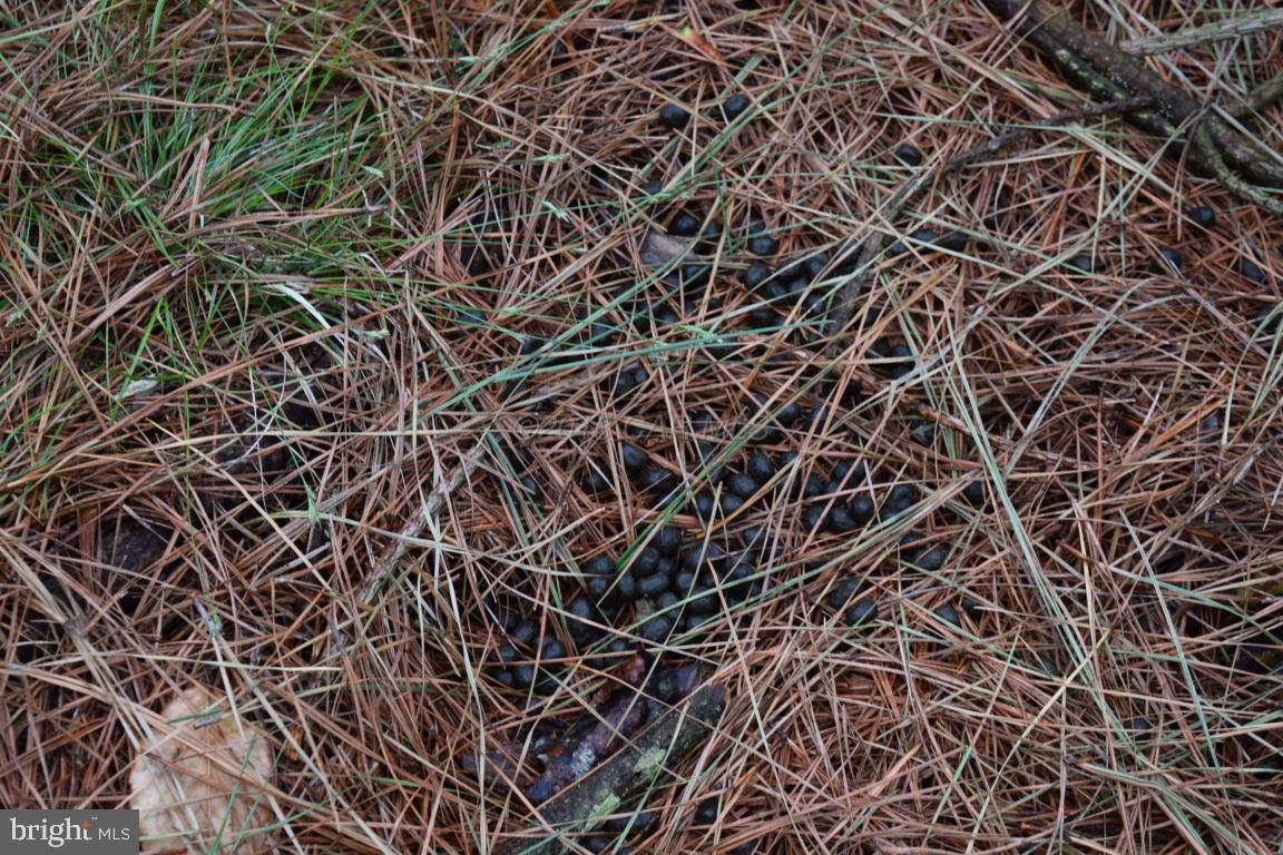 NONE AVAILABLE - Land