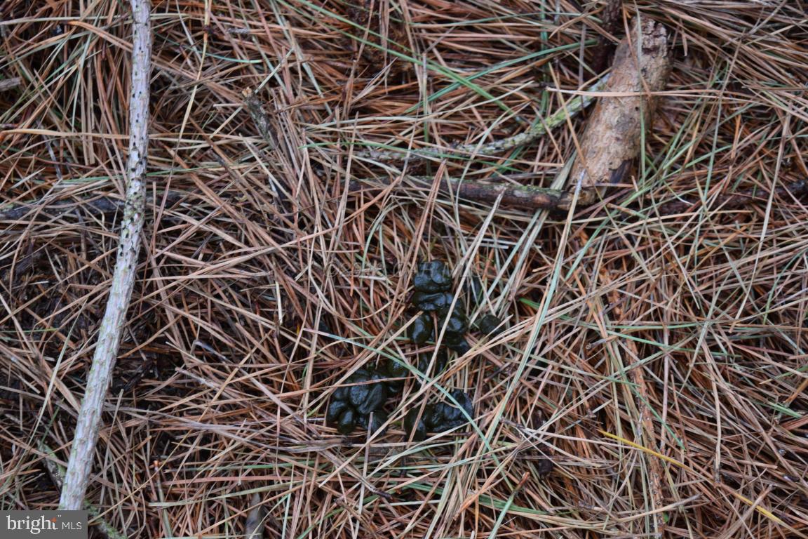 NONE AVAILABLE - Land