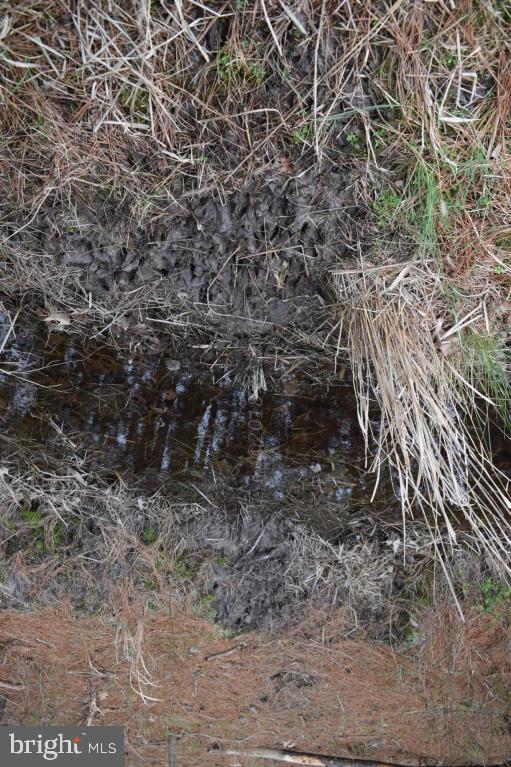 NONE AVAILABLE - Land