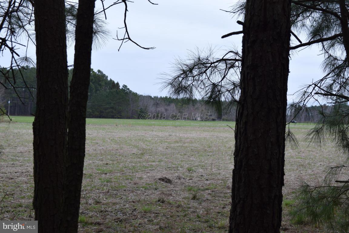 NONE AVAILABLE - Land