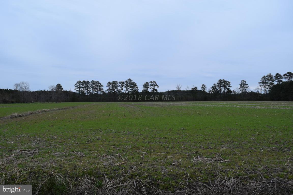 NONE AVAILABLE - Land