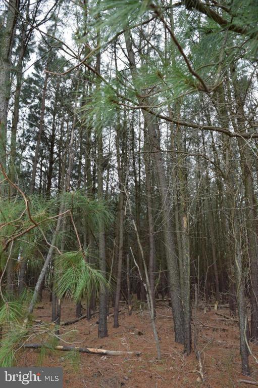 NONE AVAILABLE - Land