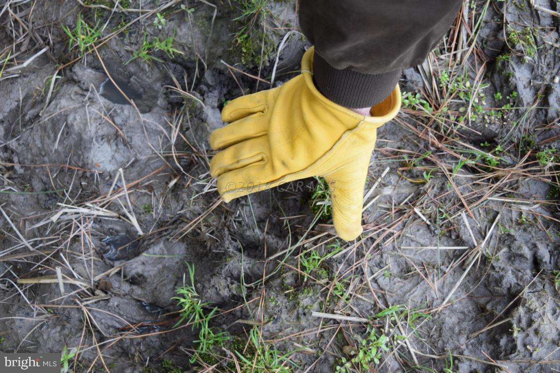 NONE AVAILABLE - Land