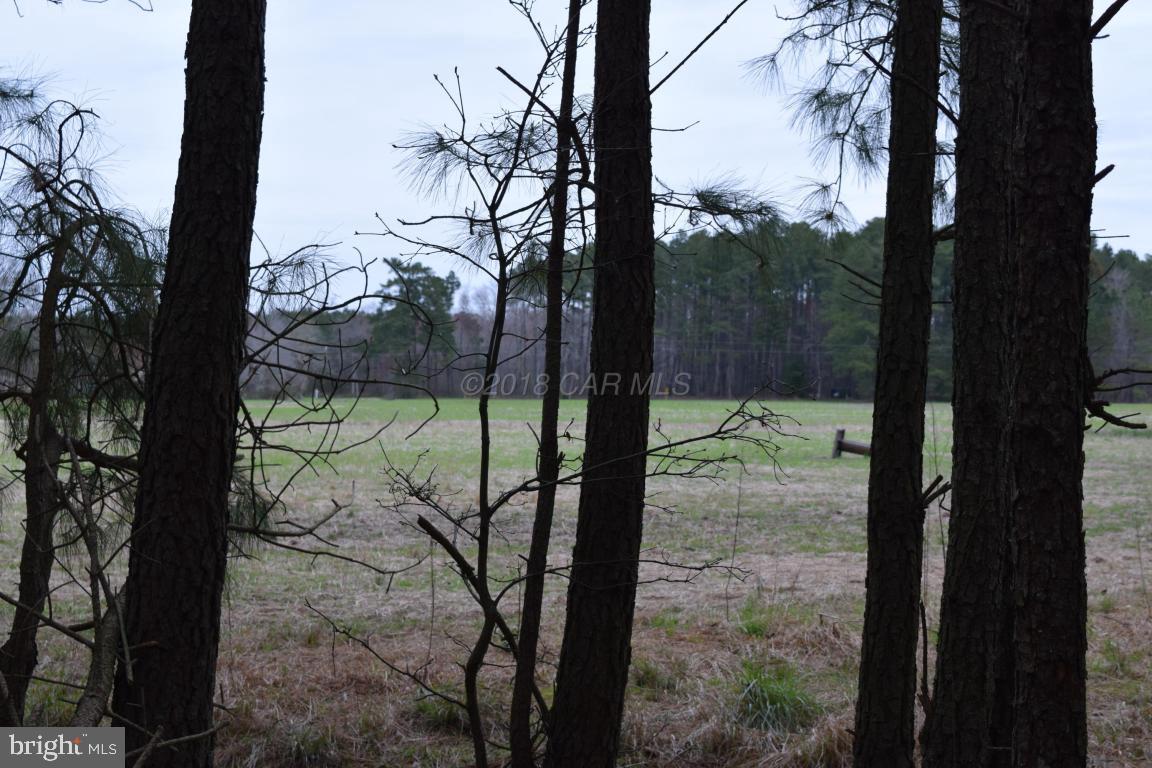 NONE AVAILABLE - Land