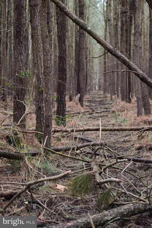 NONE AVAILABLE - Land