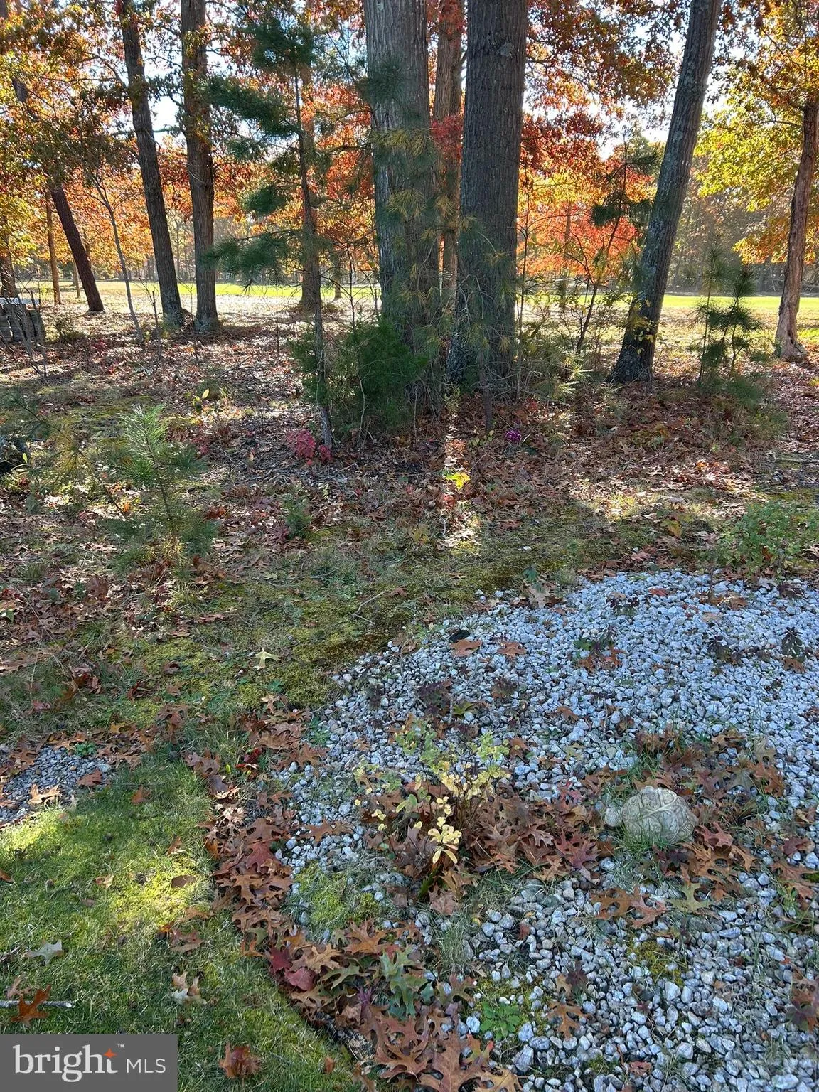 Mays Landing, New Jersey 08330, United States, 3 Bedrooms Bedrooms, ,2 BathroomsBathrooms,Residential,Active,239128