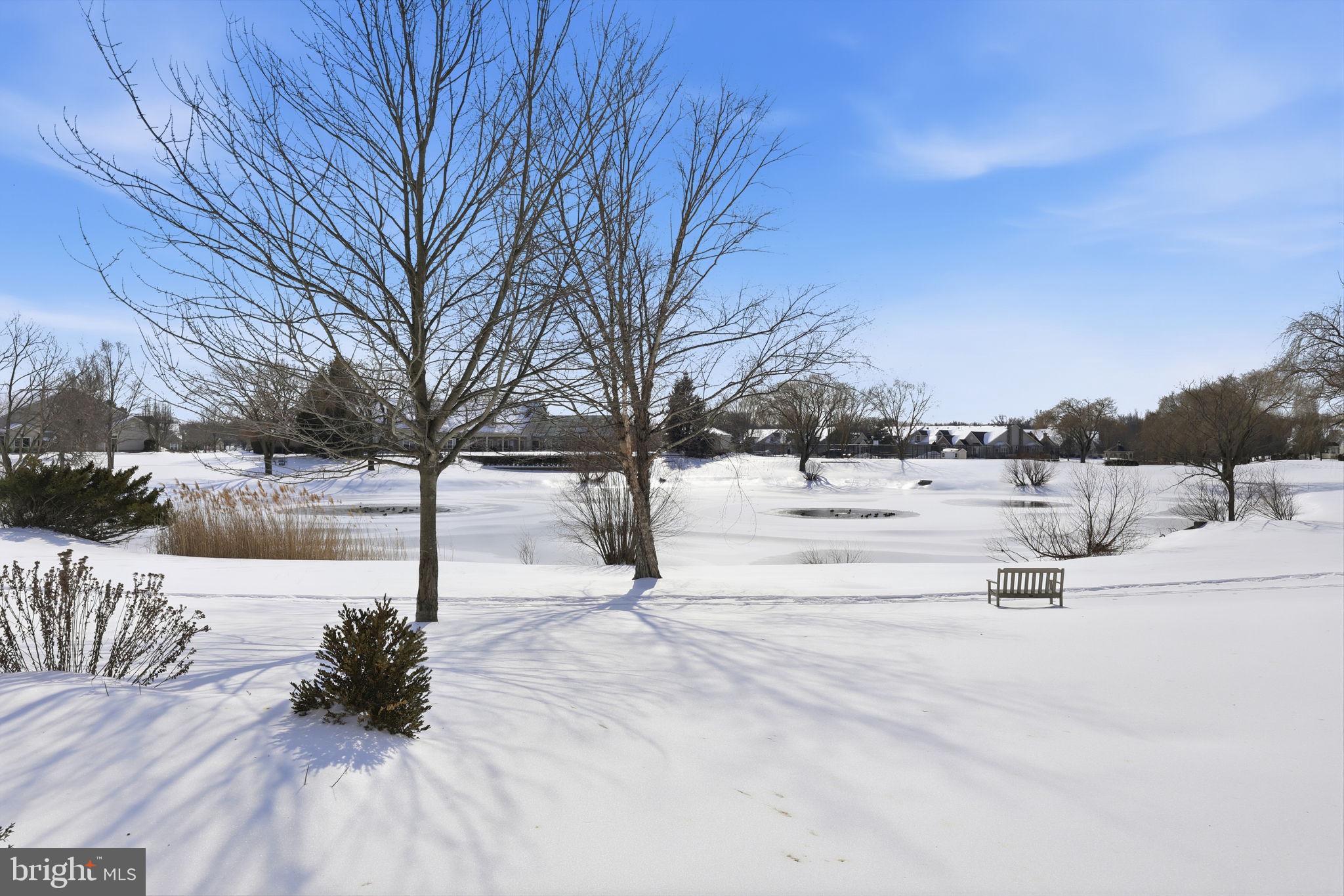 VILLAS AT SHADYBRO - Residential