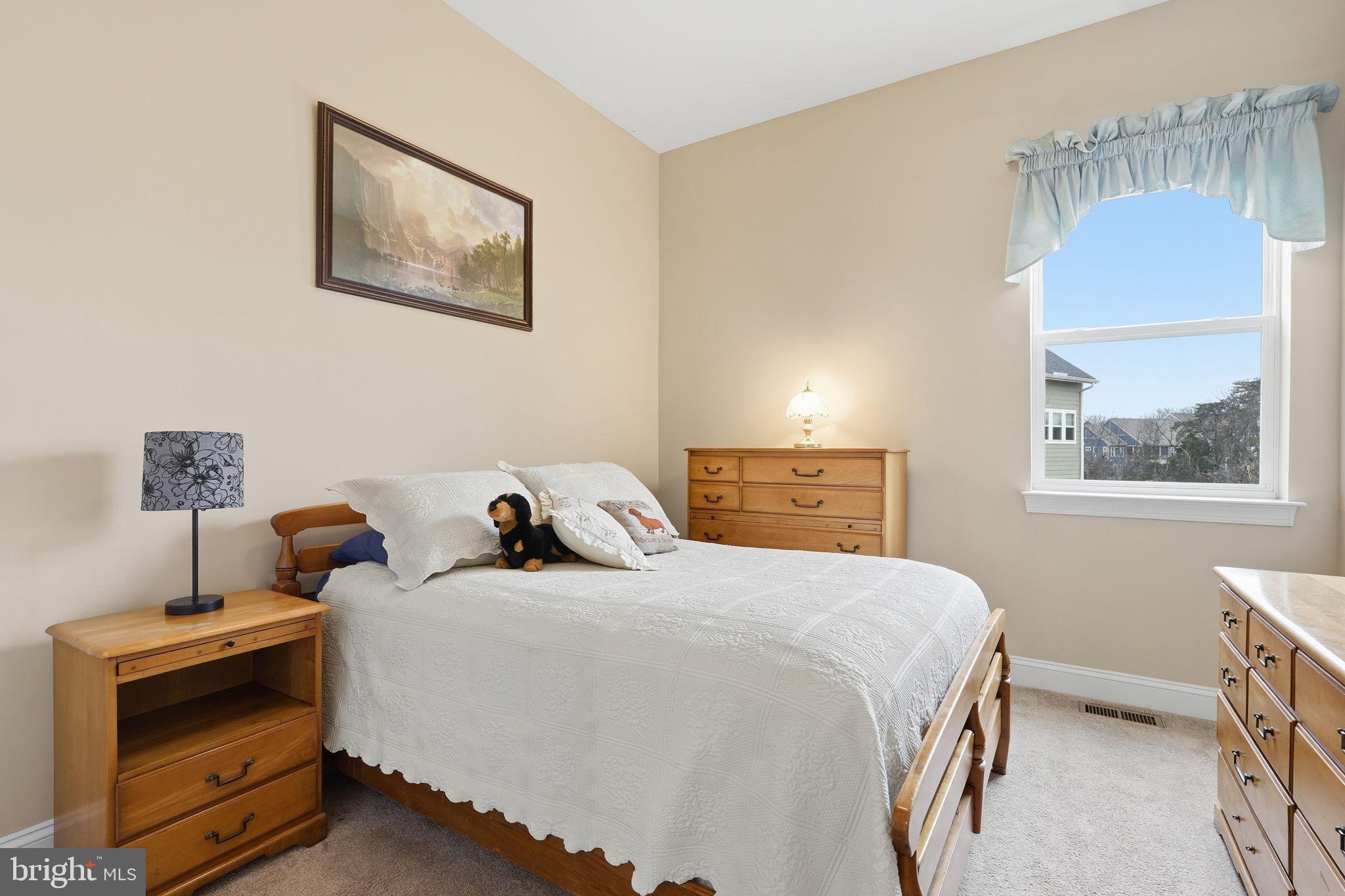 SHENANDOAH - Residential