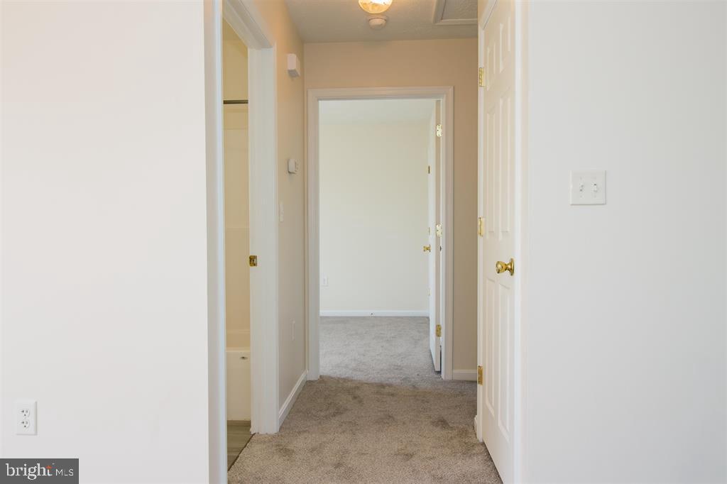 CHAPMAN - Residential