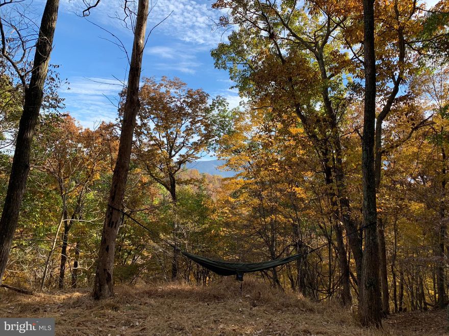 MOUNTAIN VIEWS 10 mostly wooded acres situated in River Ridge. Nicely maintained common area on the Cacapon River with BBQ pits, picnic tables & bath house. Gated access offers you added comfort when building your dream weekend retreat.  Scenic Mountain Views. . Updated septic permit on file for a 3 bedroom septic system.