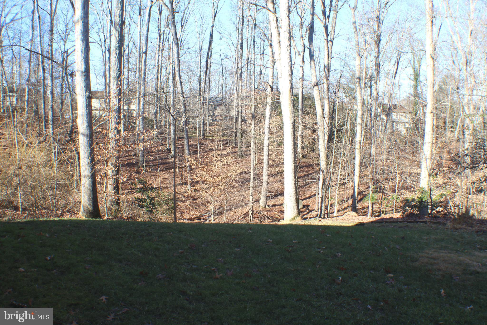 LAKE RIDGE EXECUTIVE PARK - Residential