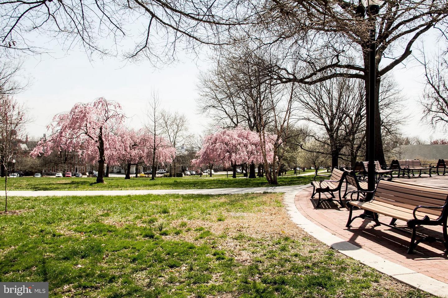 RIVERSIDE - Residential Lease