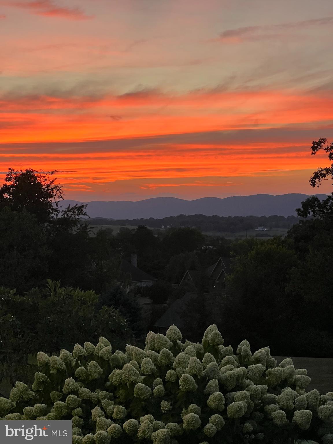 HILLSIDE FARMS - Residential