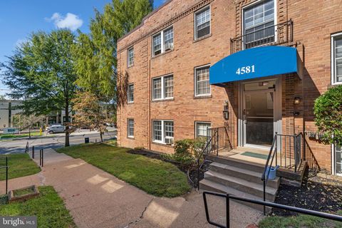 4581 MACARTHUR BOULEVARD NW 103 WASHINGTON DC 20007