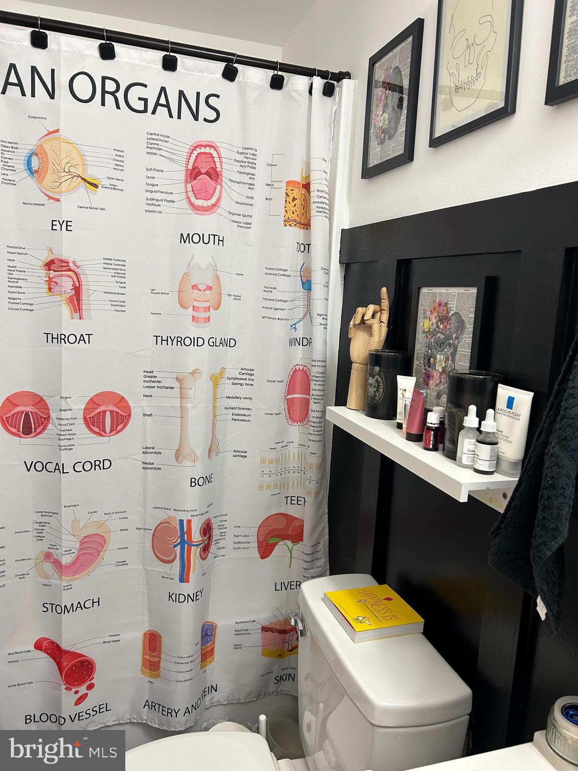 CACAPON SOUTH - Residential