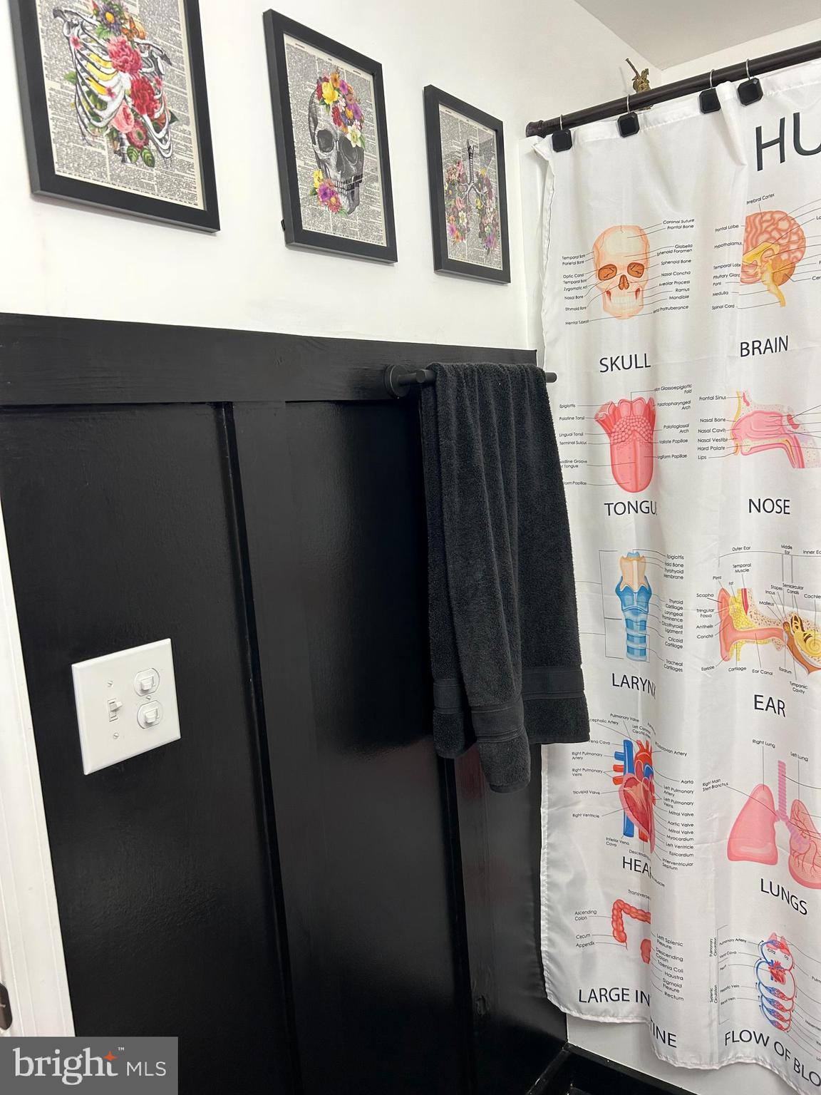 CACAPON SOUTH - Residential