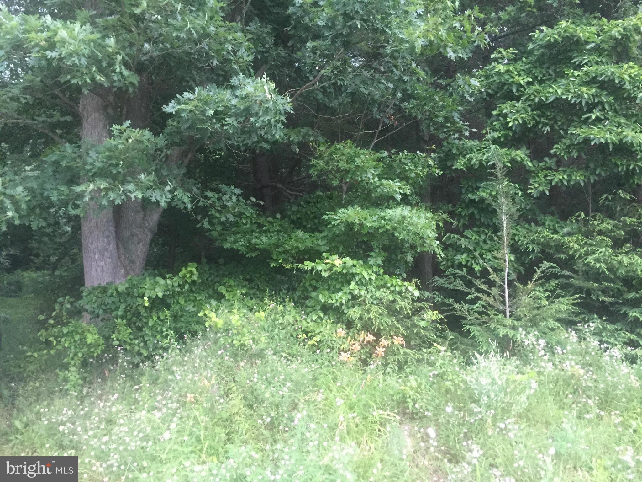 FRANKLIN TOWNSHIP - Land